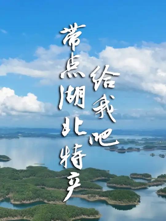 我出不了湖北,带点湖北美食特产走吧~