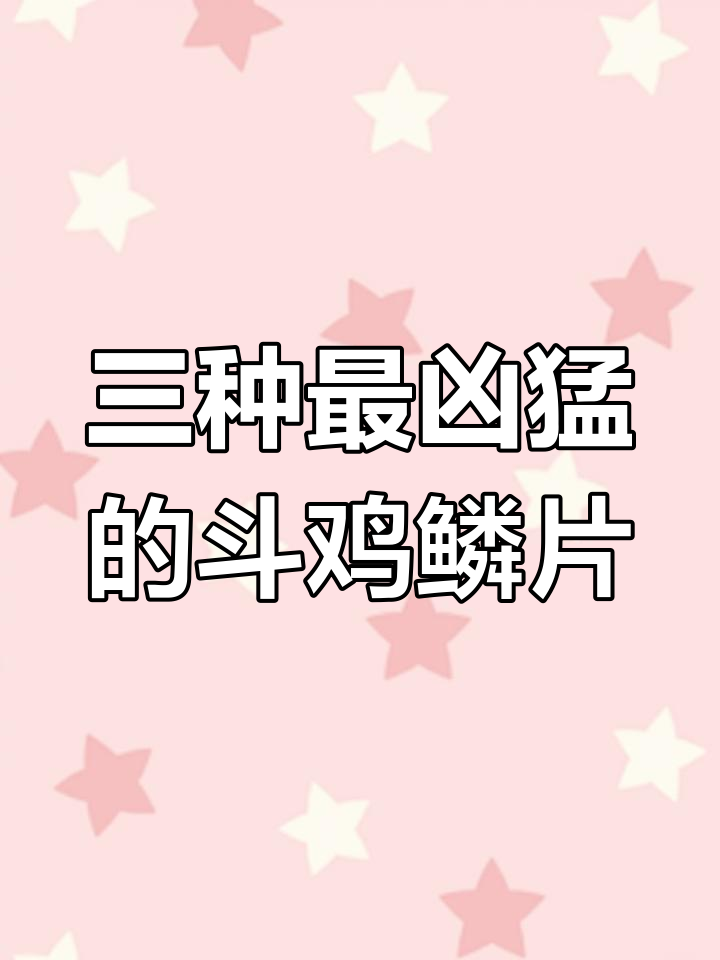 斗鸡脚鳞三大花型揭秘，最强打腿技巧大公开