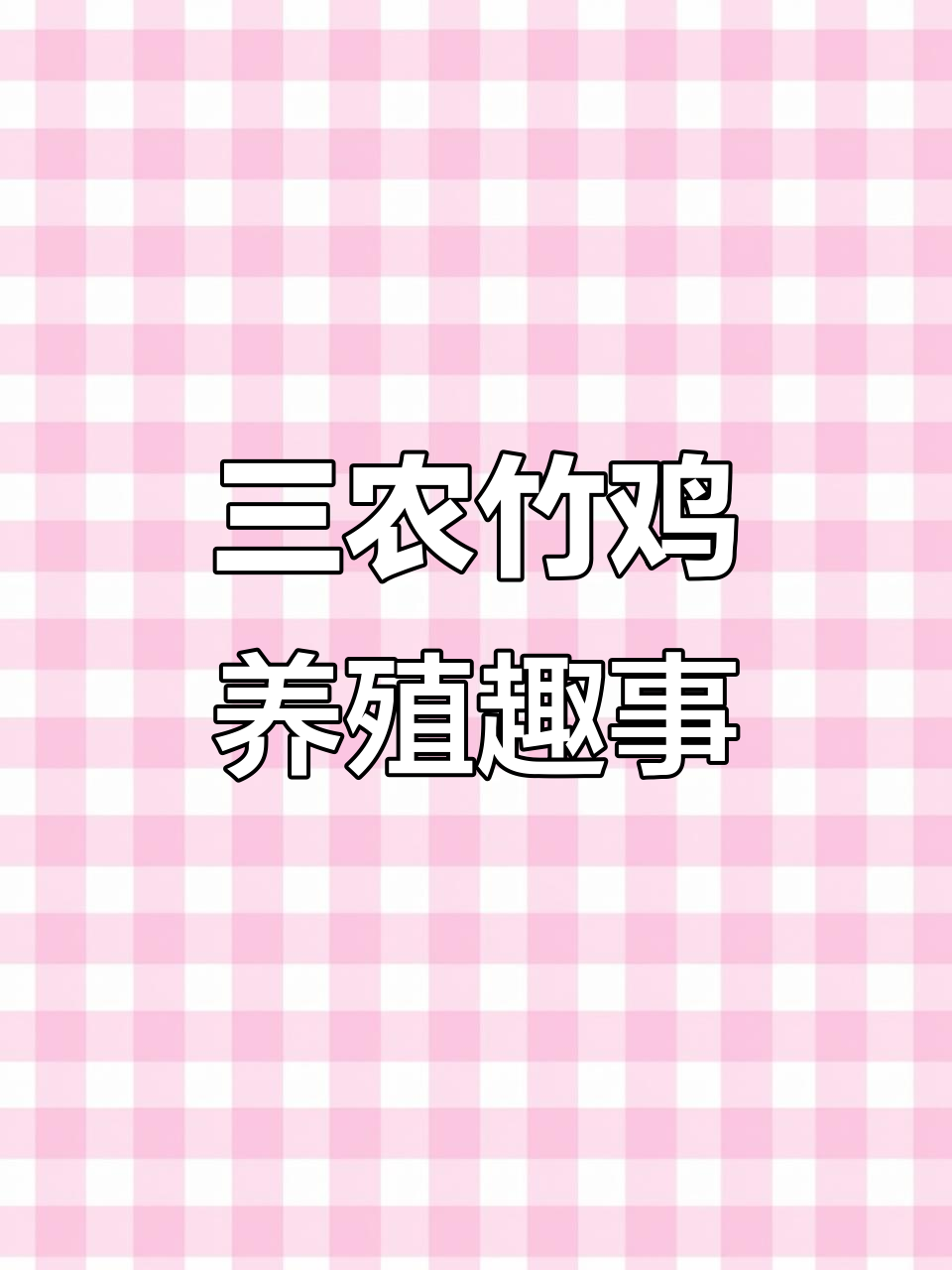竹鸡养殖创业记：从尾巴长出到拖鞋变脏的搞笑日常