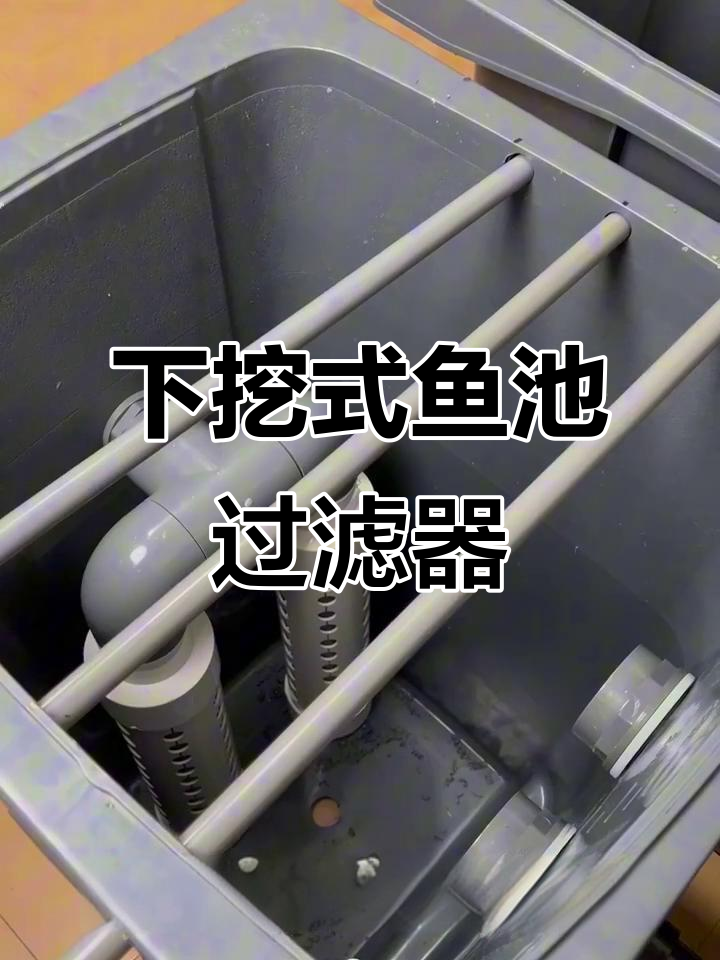 鱼池过滤制作全攻略:垃圾桶改造双层发散管设计