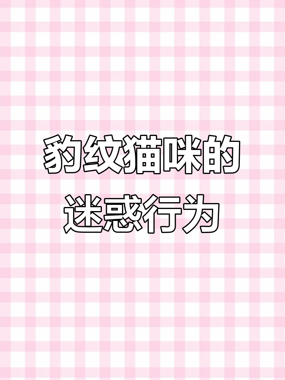 小豹纹吃饭超治愈,蛋糕裙和冻干都能搞定