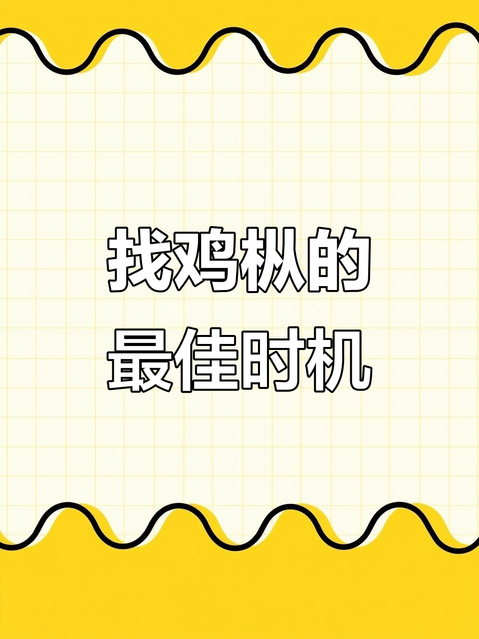鸡枞菌生长秘辛:夏季暴雨后最易找到,贵州云南四川交界处最多