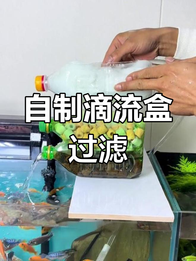 鱼缸过滤效果差?试试自制滴流盒