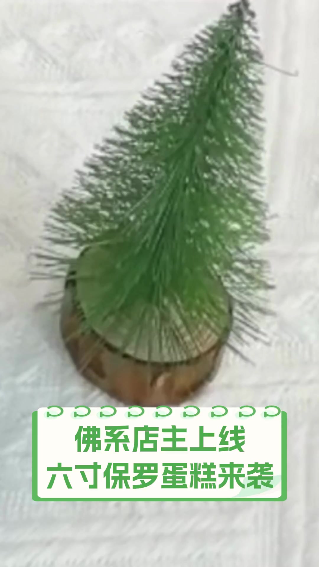 佛系店主上线,六寸保罗蛋糕来袭