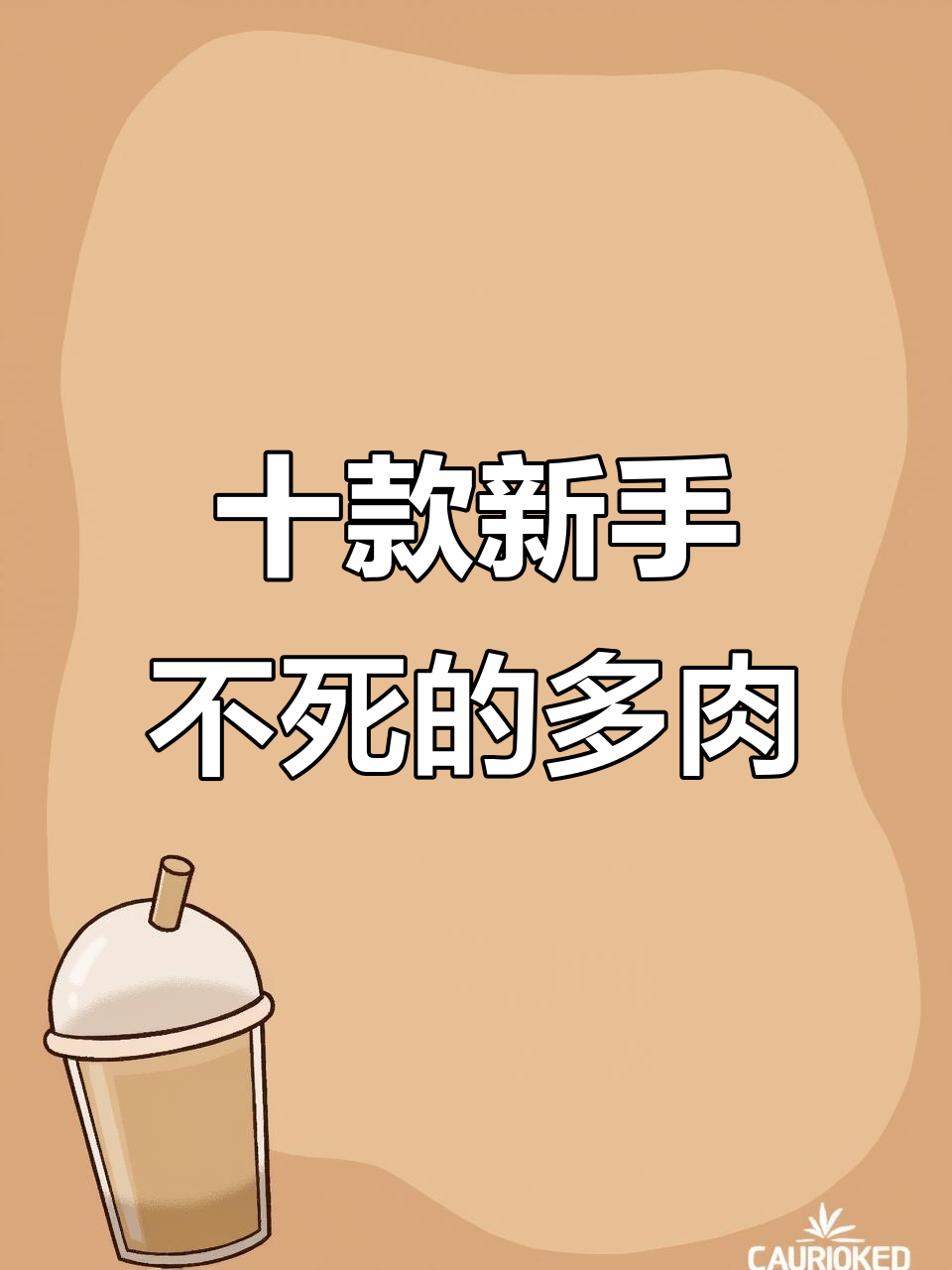 新手必养不死多肉，六款超耐养的品种推荐