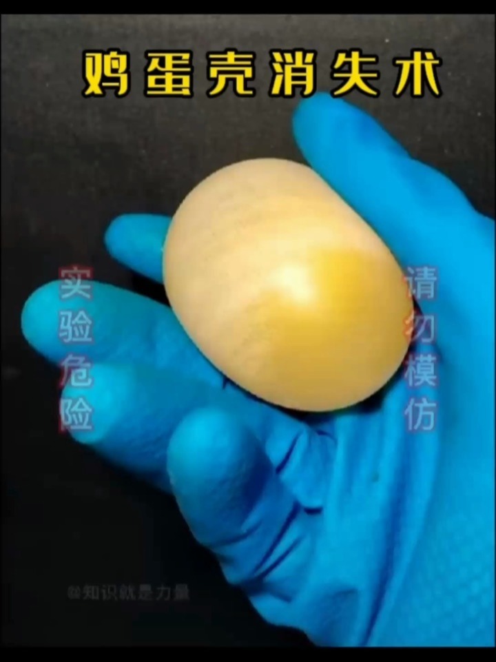 「化学实验」消失的鸡蛋壳