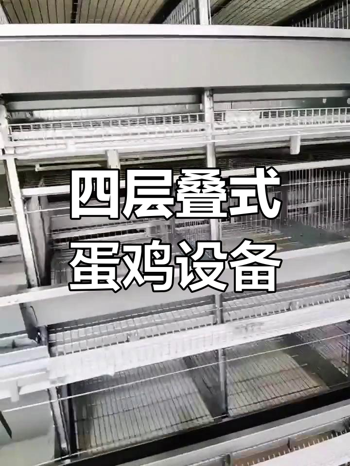新型四层大笼设计,稳固性强,5万羽蛋鸡轻松养殖