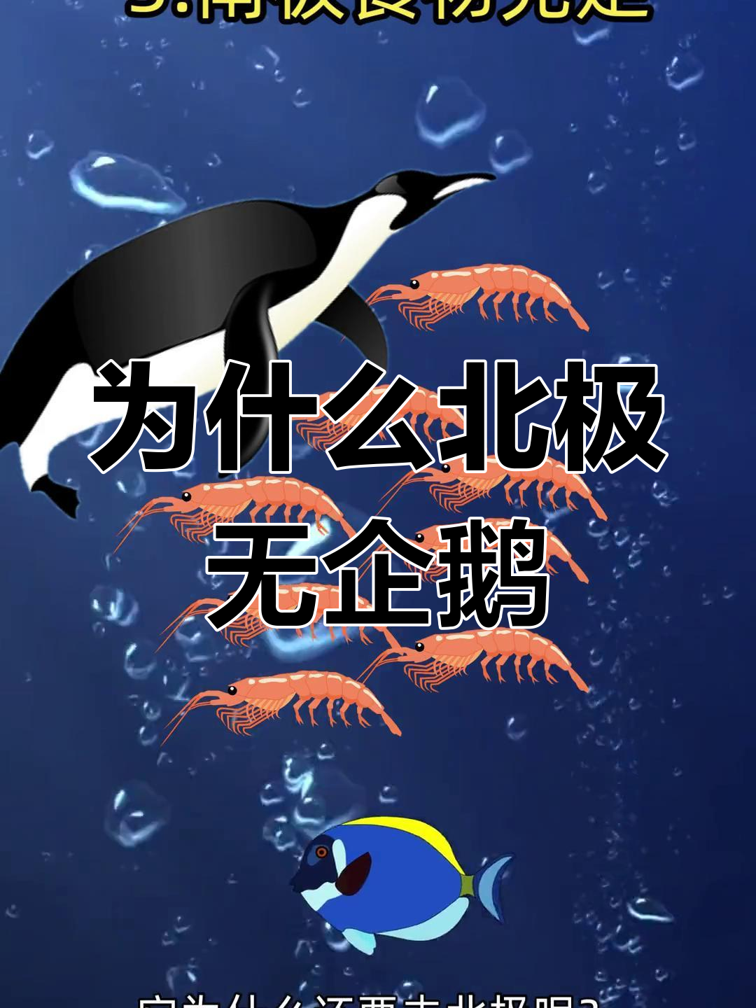 北极为何没有企鹅?