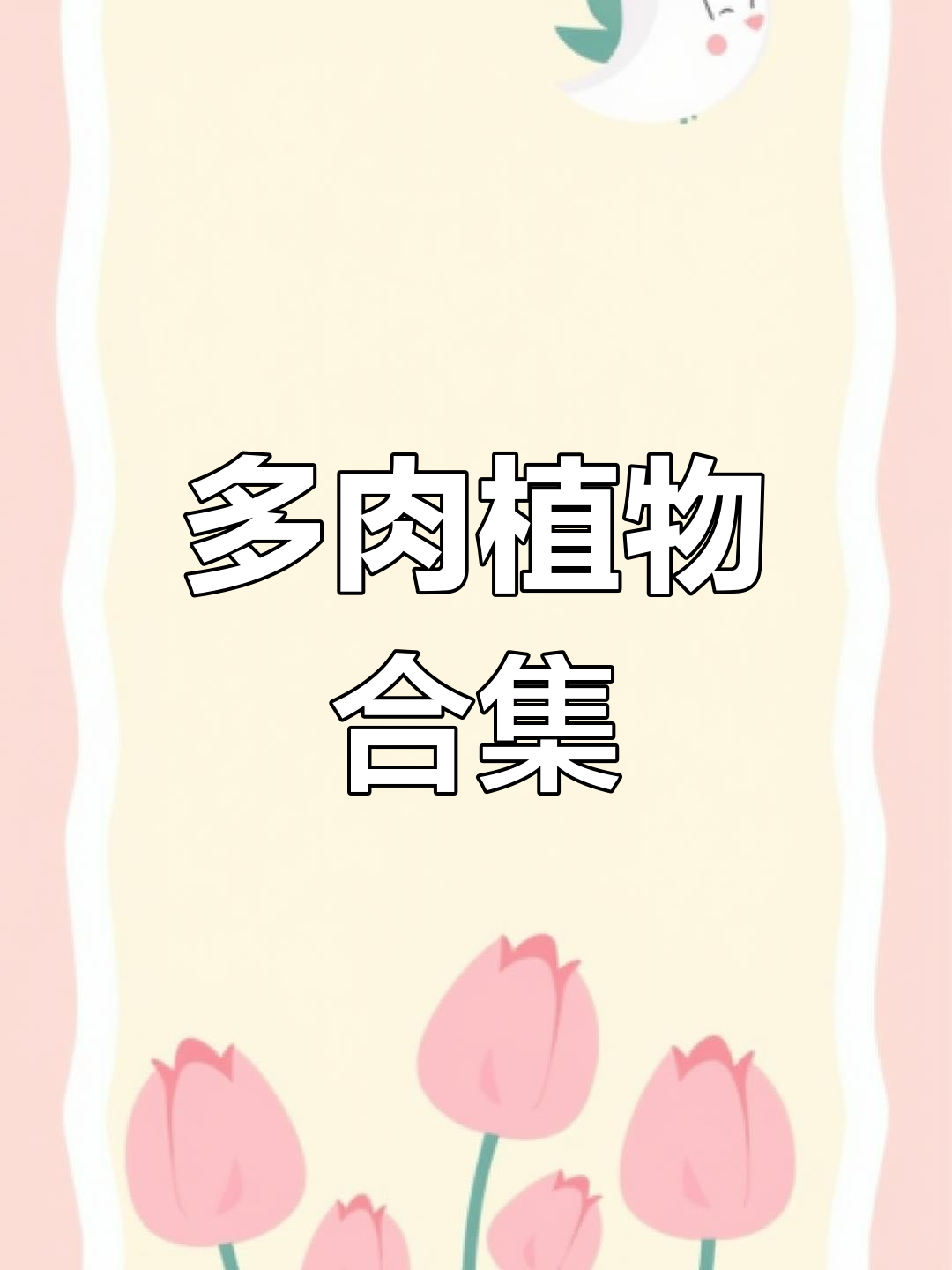 23种多肉植物大揭秘,萌态百变治愈生活