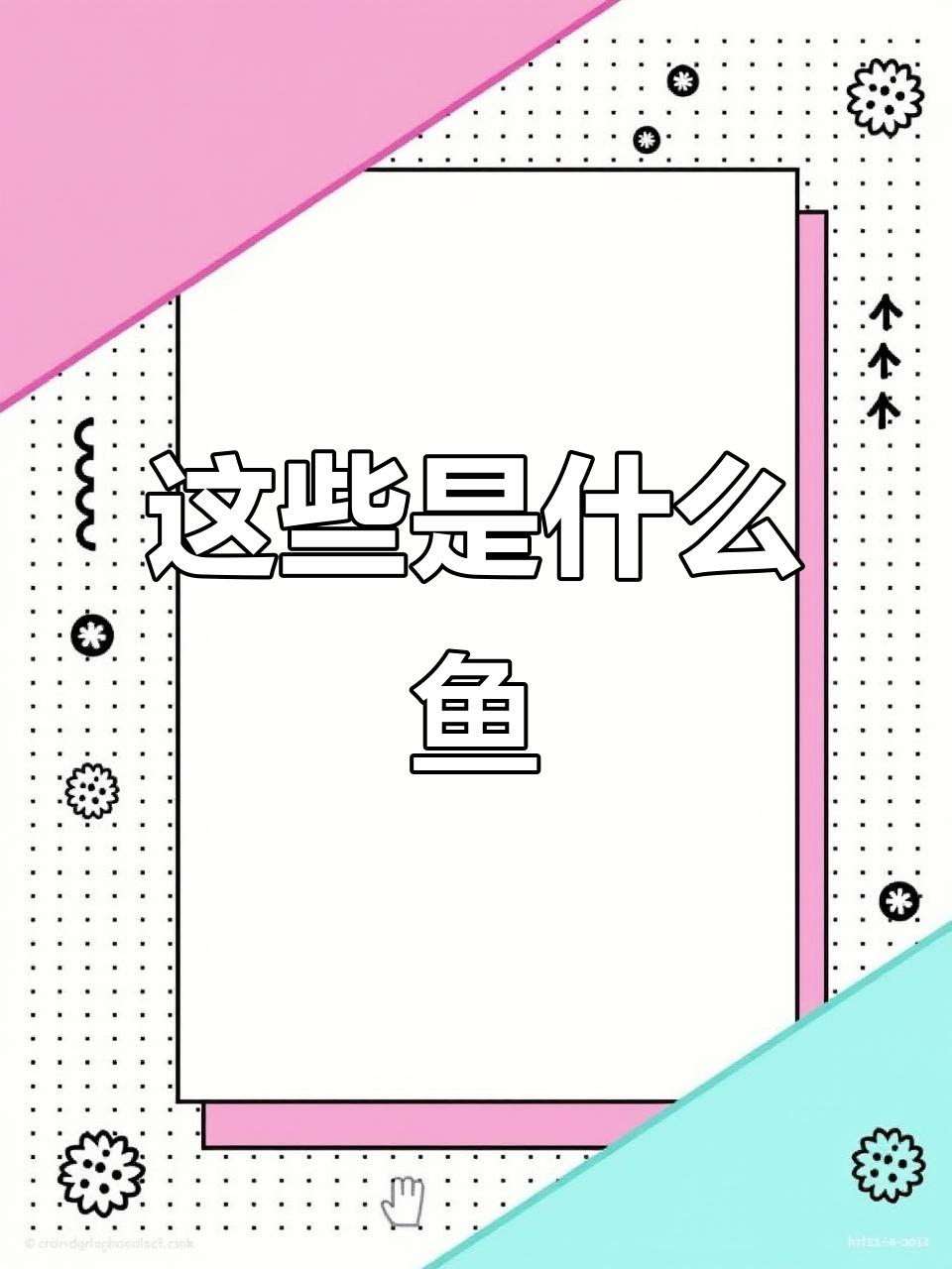 这是什么鱼?从青蛙到黄尾,一网打尽!