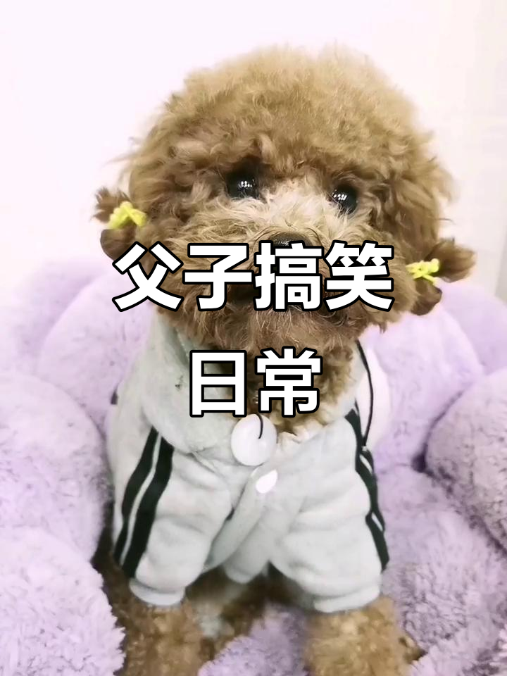 爸爸包饺子,儿子一边吃一边调皮捣蛋