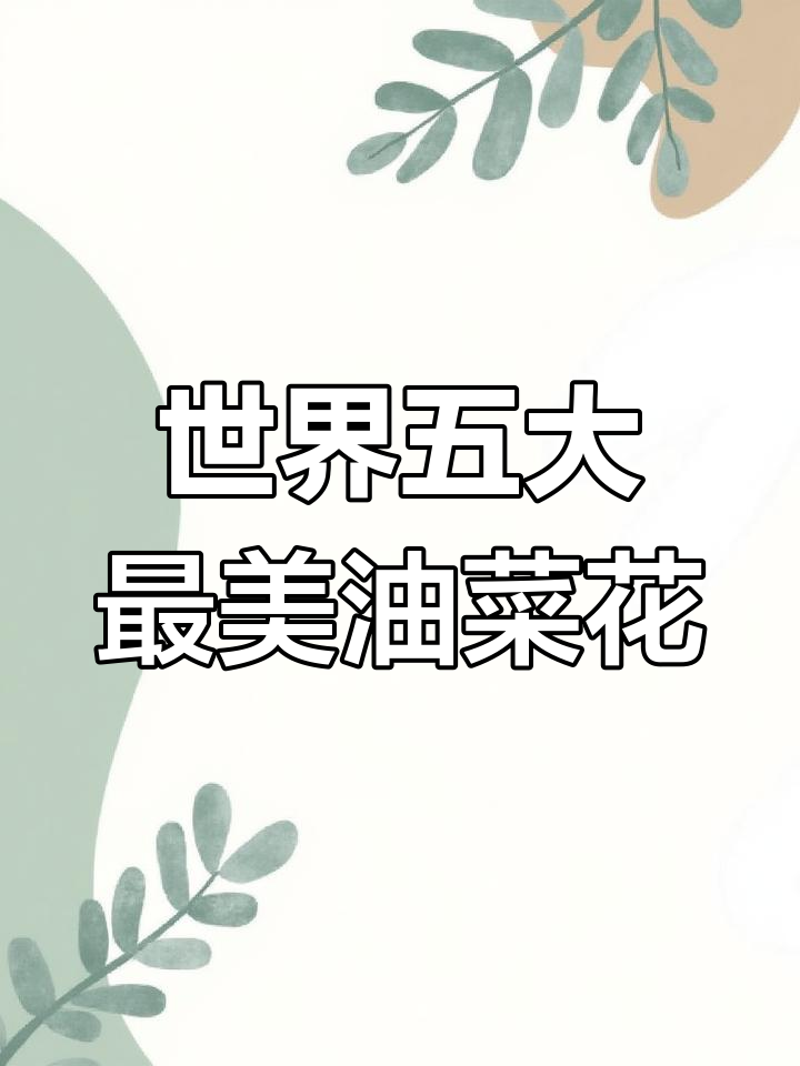 全球最美油菜花排名:中国占九席,德国倒数第二