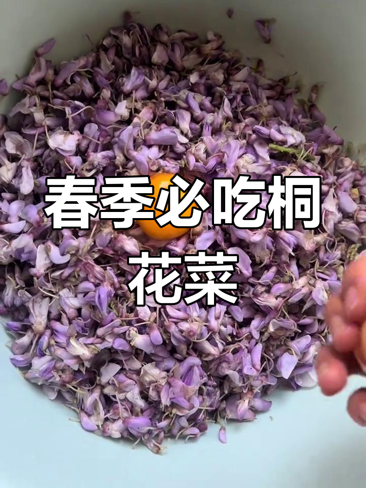 春季限定美味桐花菜,搭配鸡蛋和面粉煎至金黄