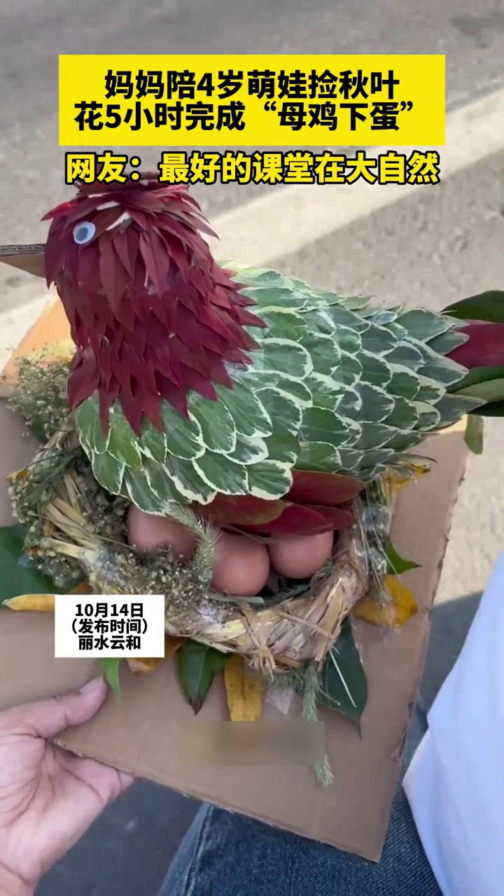 幼儿园布置做手工,女子陪4岁孩子捡树叶,4小时完成“母鸡下蛋”