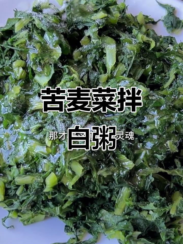 夏季最佳搭配！苦麦菜配白粥，清爽又美味