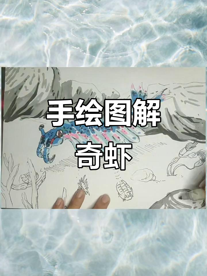 奇虾古生物手绘揭秘,带你走进远古世界