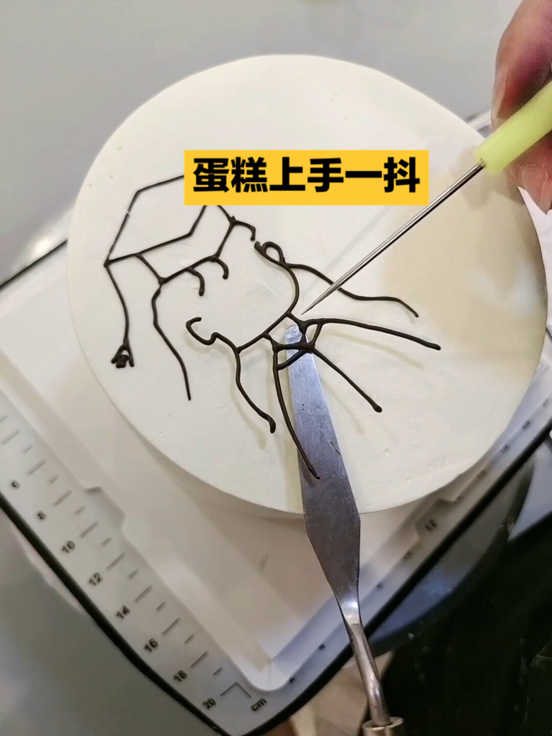 手绘蛋糕巧克力转印蛋糕制作过程