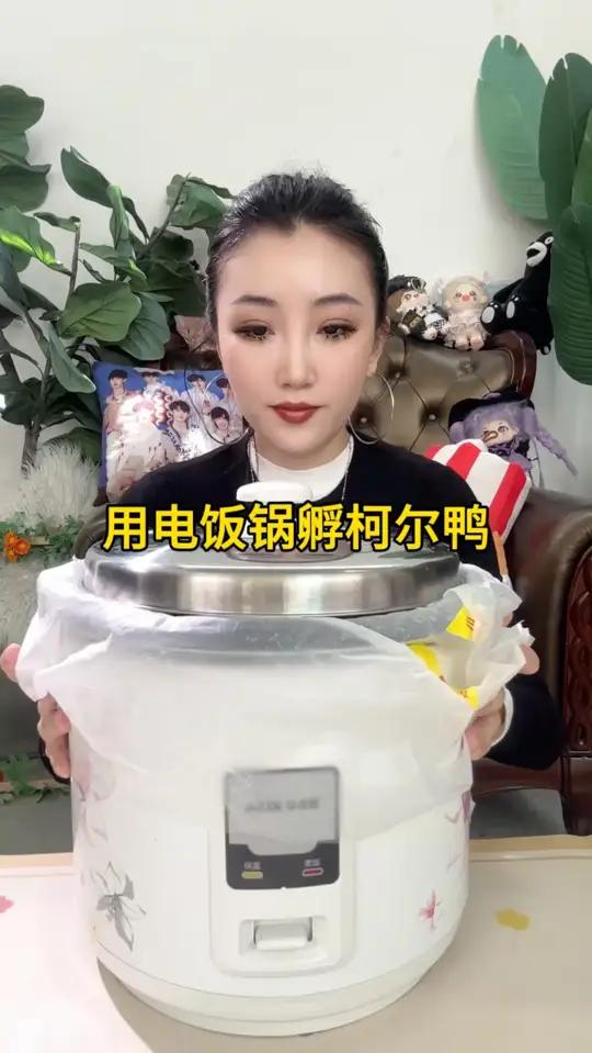 用电饭锅孵柯尔鸭!为粉丝我又重新出发了!
