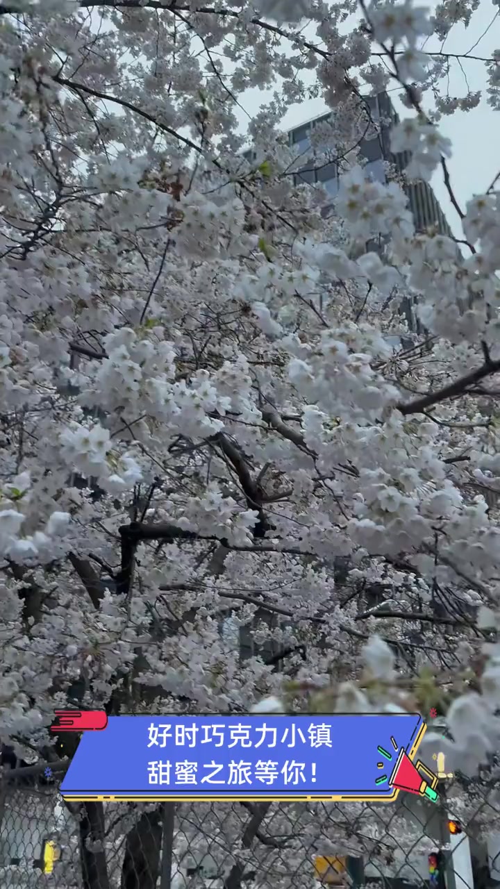 好时巧克力小镇,甜蜜之旅等你!