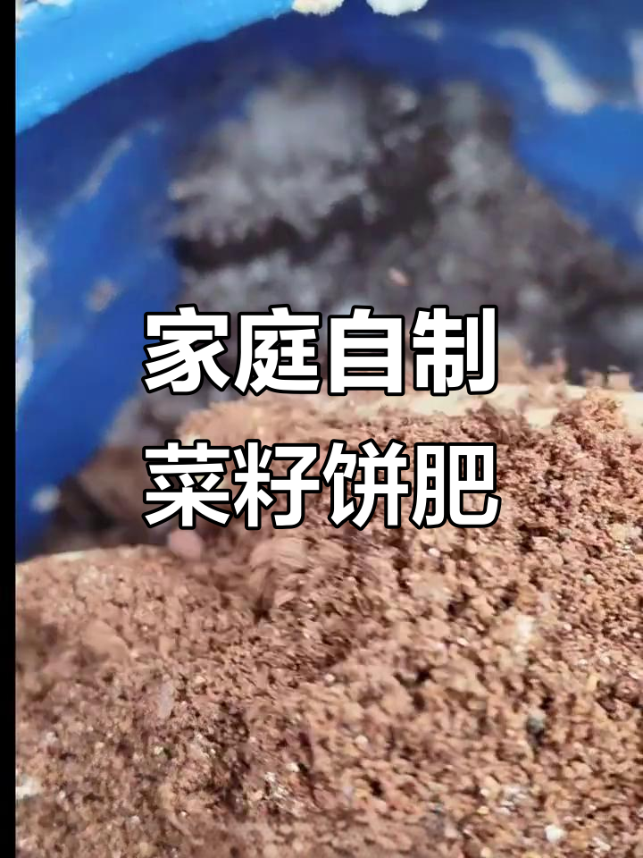 自制菜籽饼肥，简单步骤让肥料更强劲