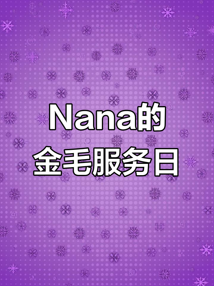 金毛Nana治愈自闭症,迪士尼之旅与唐老鸭的奇妙邂逅
