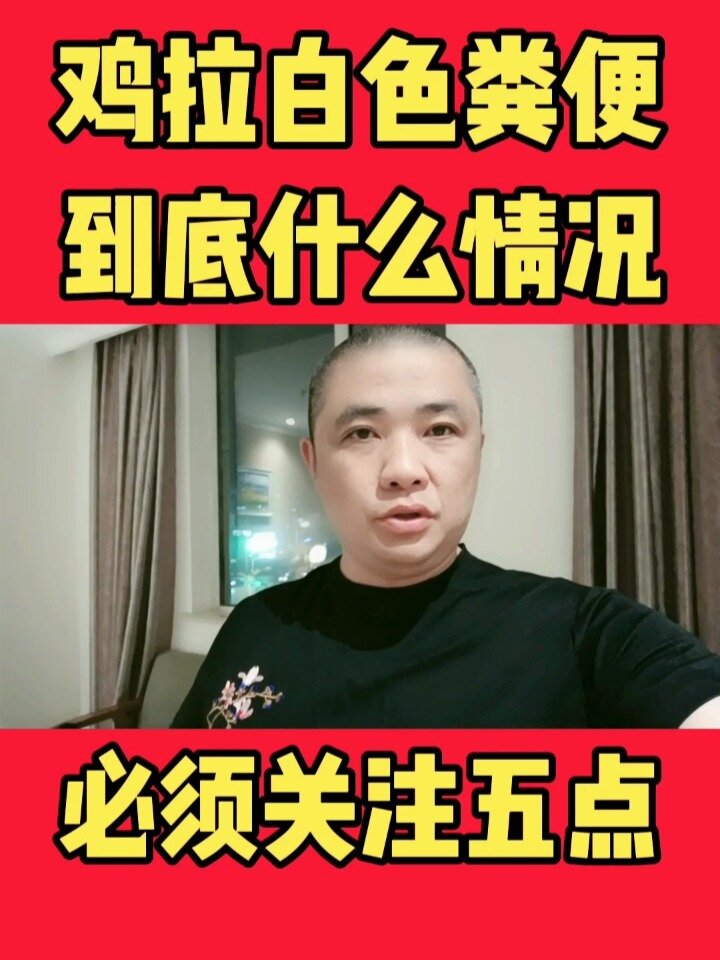 鸡拉白色粪便,什么情况?