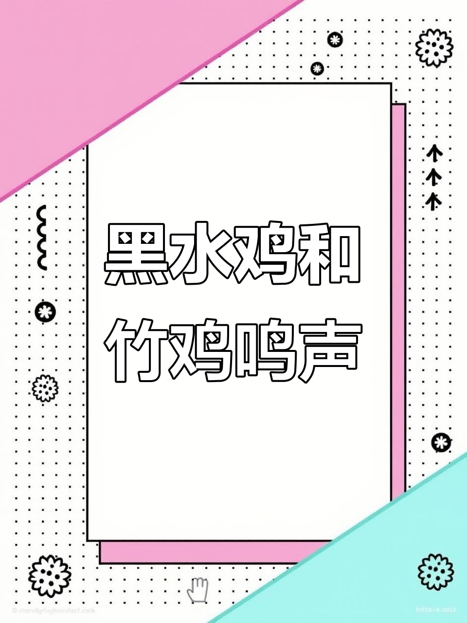 竹鸡与黑水鸡的独特叫声,聆听自然之声