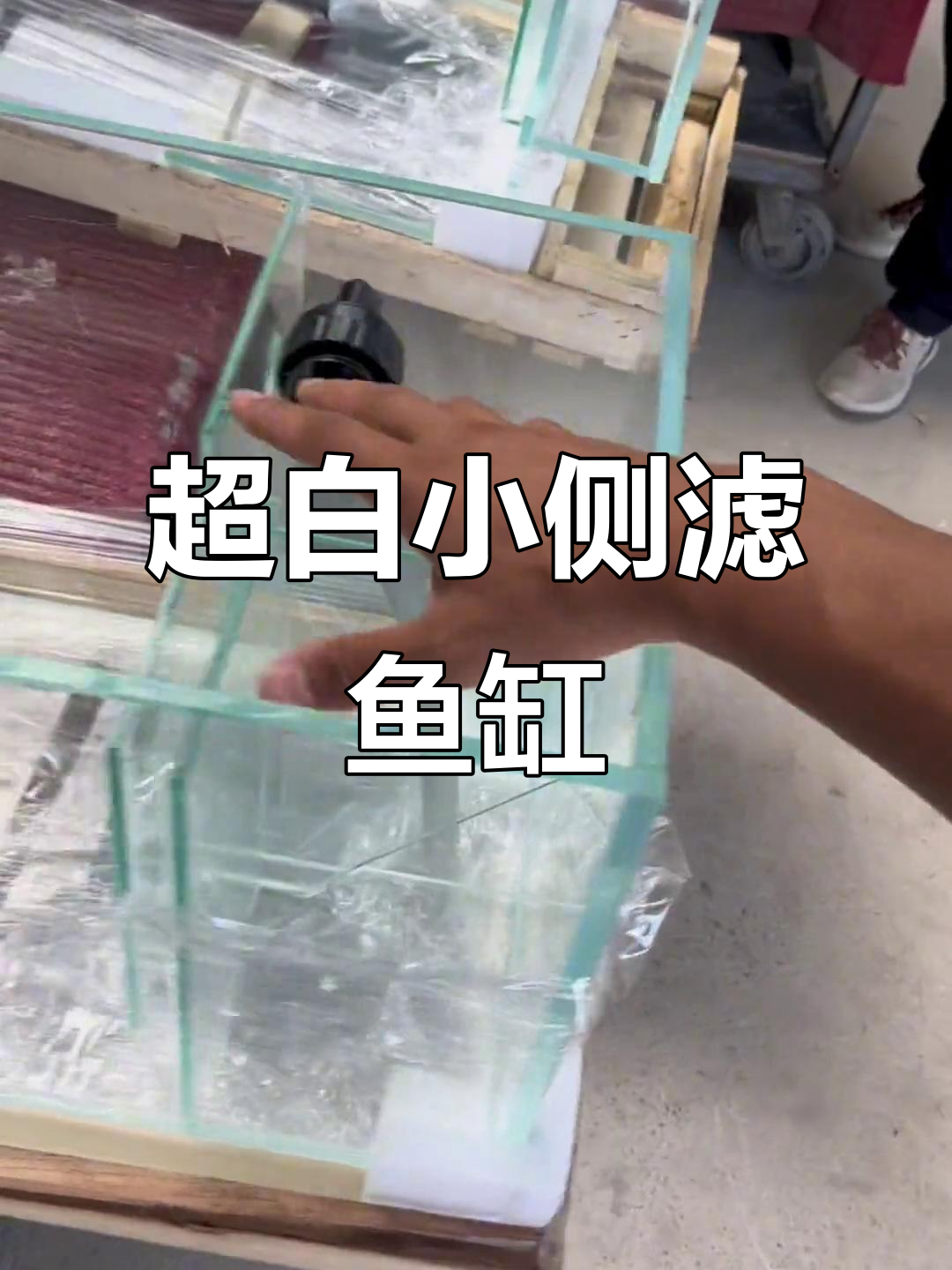 小巧侧滤鱼缸,造景与过滤完美结合