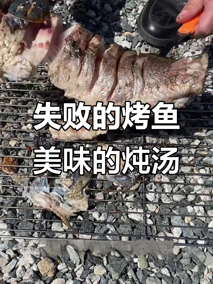 户外烤鱼失败，但结局超美味！炭火烧烤变炖汤