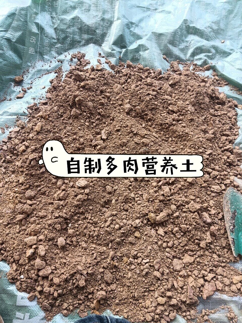 自制多肉营养土