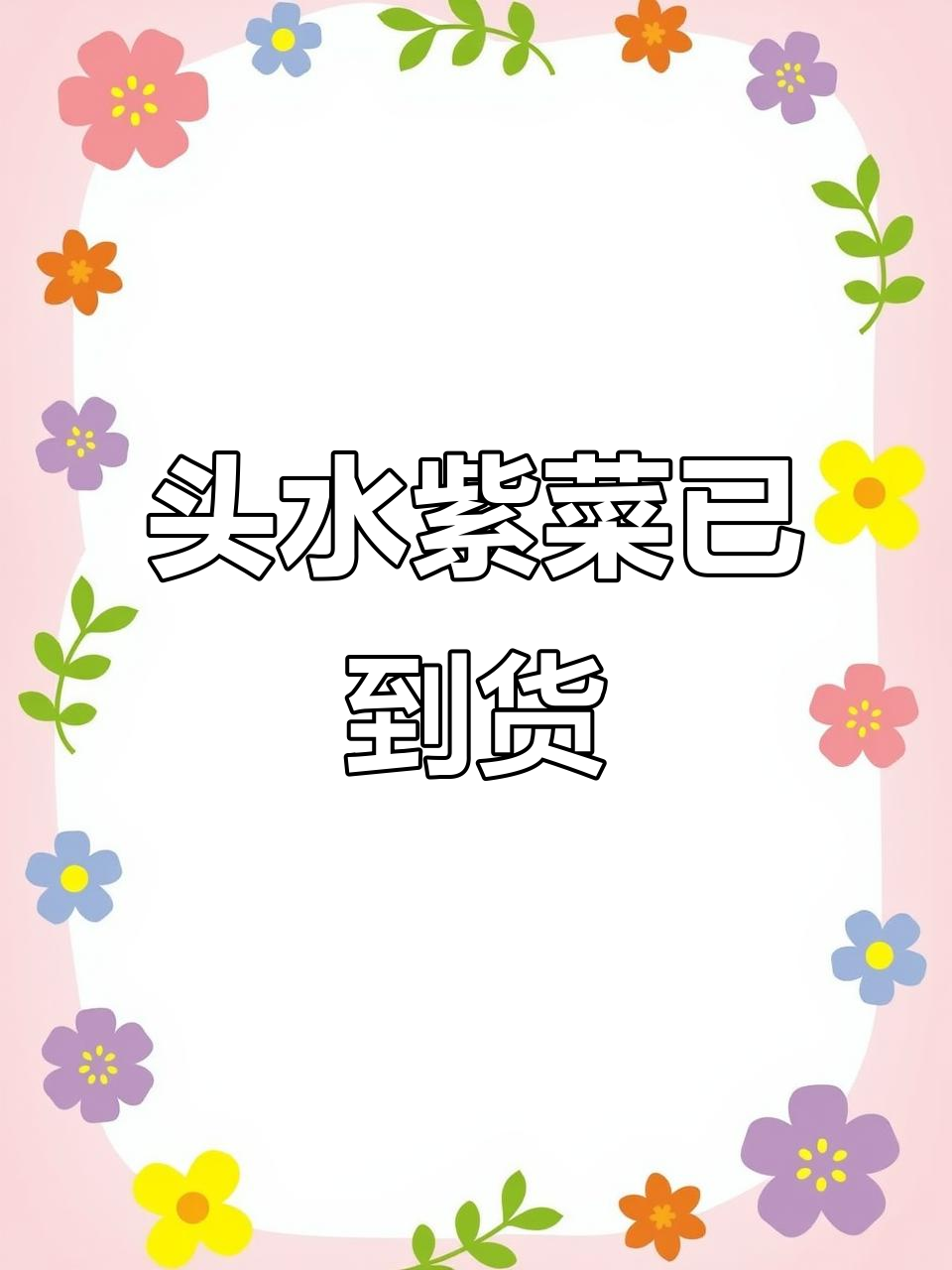霞浦头水紫菜新鲜上市,品质上乘备受青睐