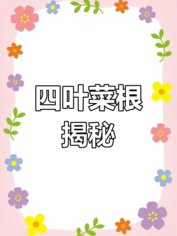 四叶菜的根原来是桔梗,拌一拌味道独特!