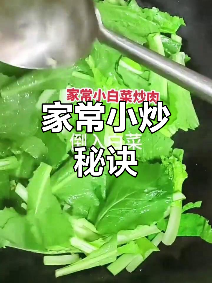 轻松炒出家常美味,小白菜与肉丝的完美搭配!