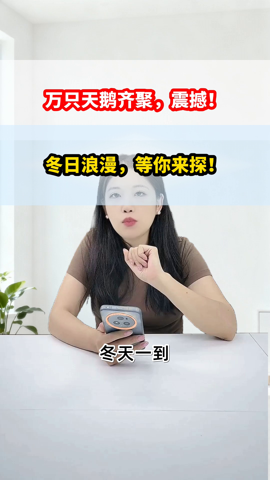 三门峡天鹅湖，冬日浪漫秘境！