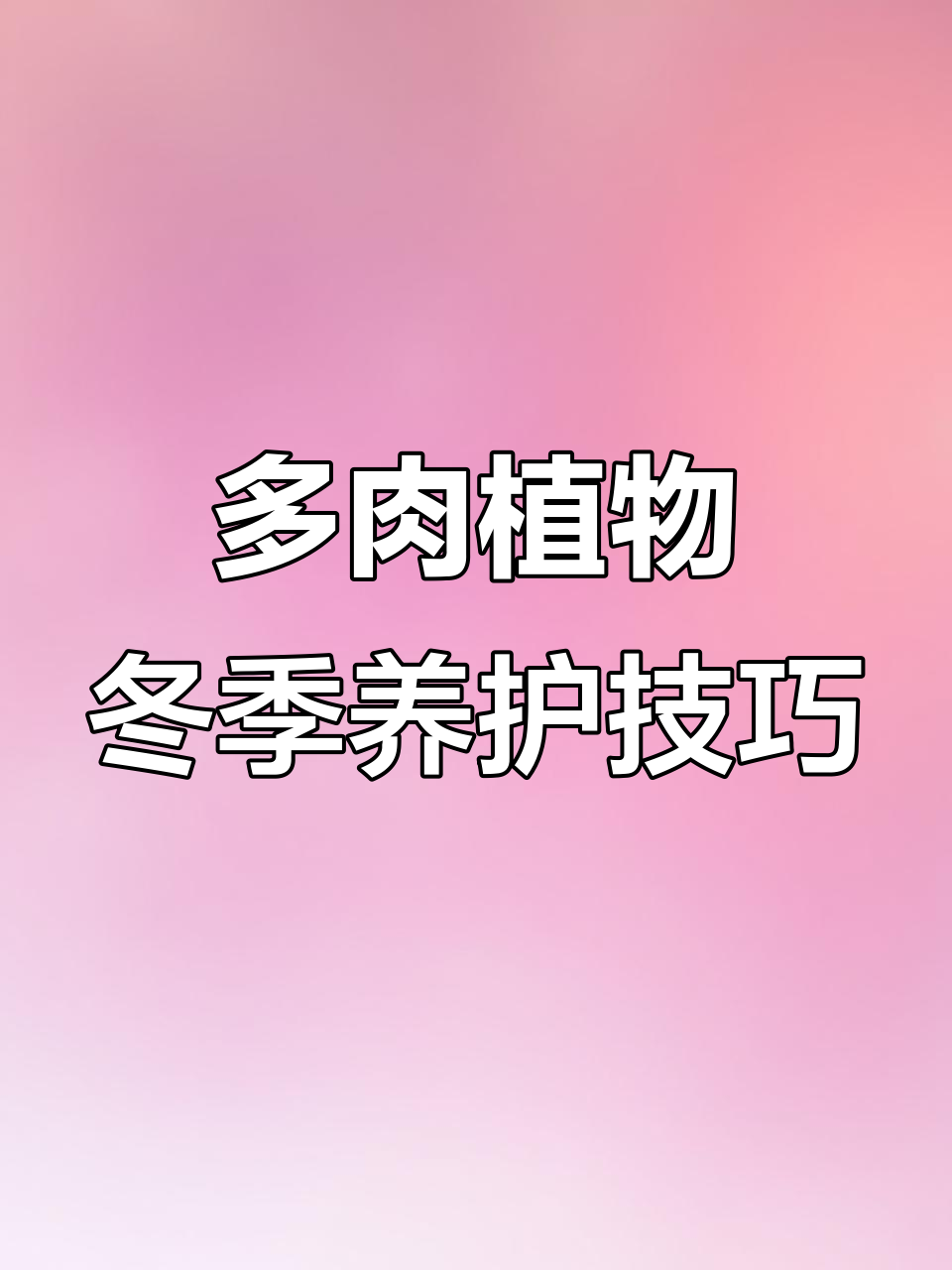 河北保定多肉养护秘籍:如何让桃花源健康过冬