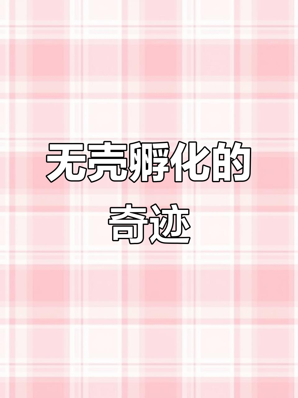 鸡蛋孵化小鸡全过程,心脏跳动与血管形成的惊人时刻