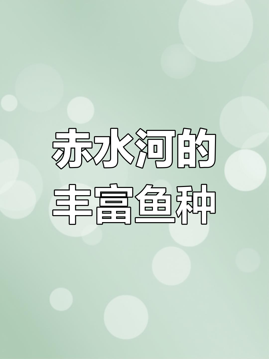 赤水河:鱼类繁衍的天堂