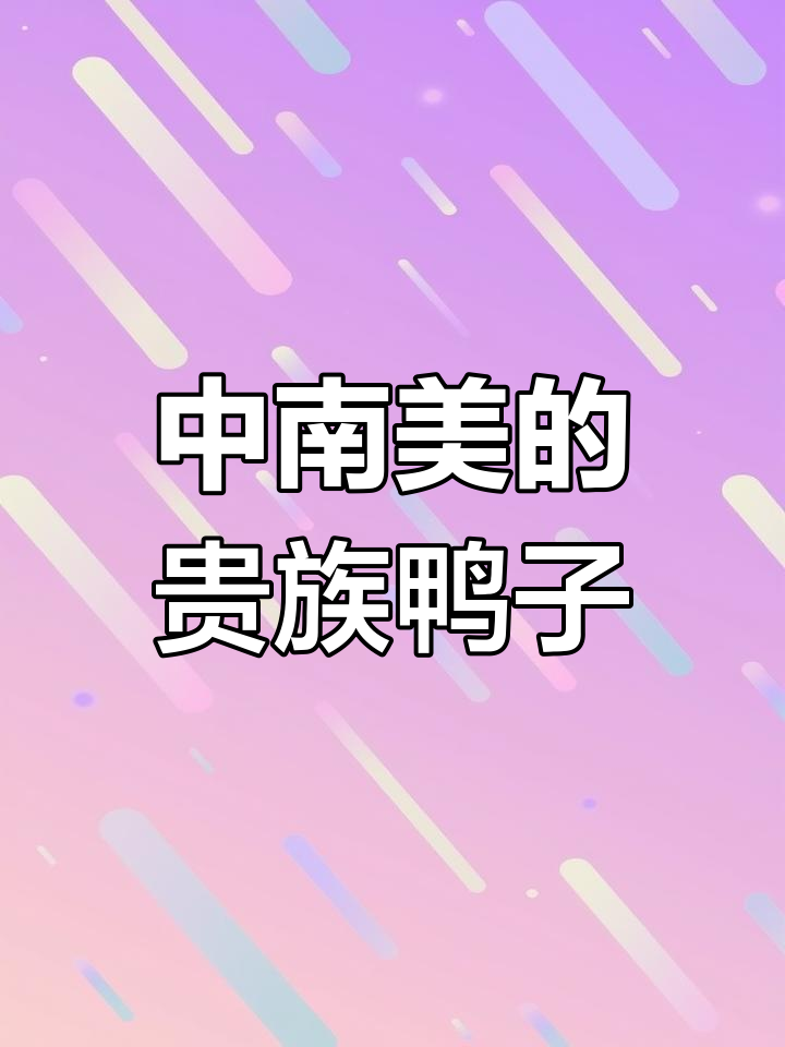 洋鸭:中南美洲的珍稀禽类