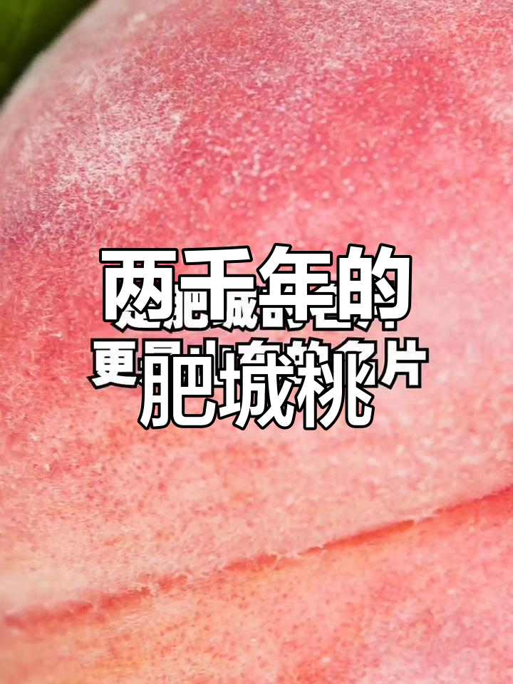 山东肥城:两千年古县的美味名片,樱桃与历史并存