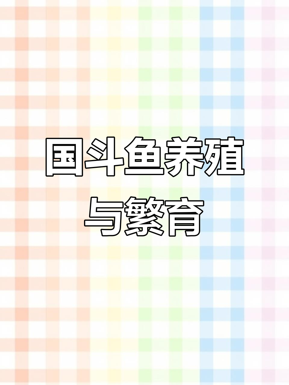 冷水国斗鱼繁殖技巧，轻松入门
