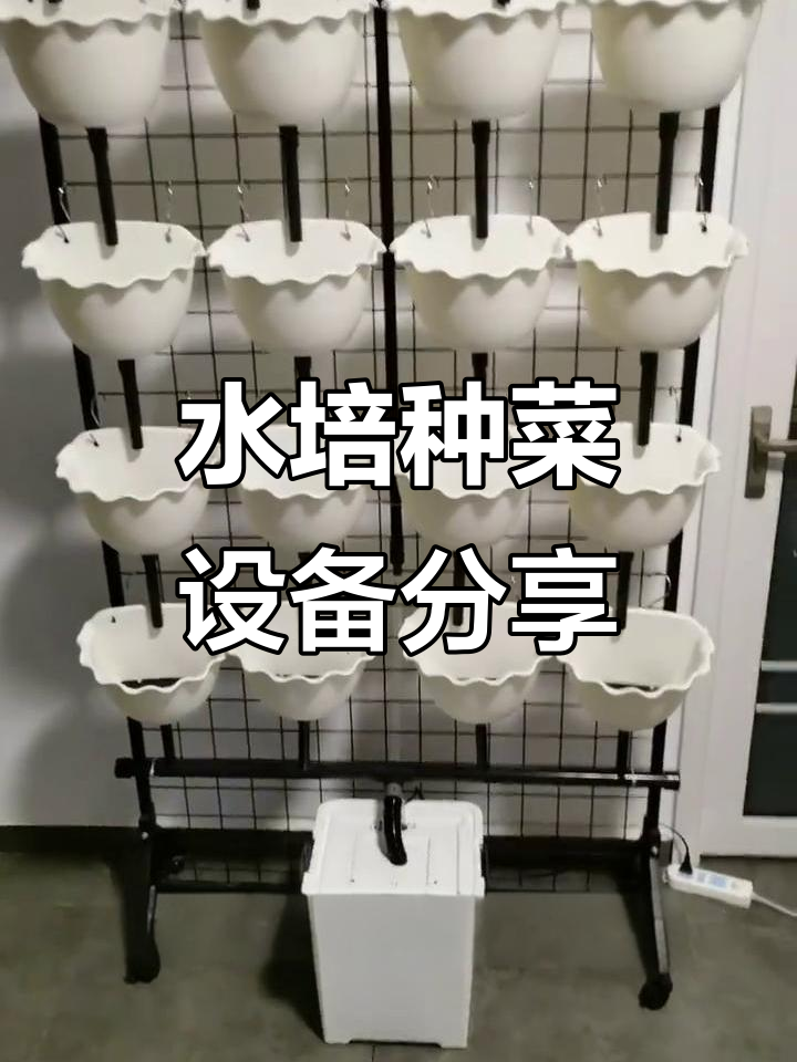 三个月研发营养液水培设备,打造立体蔬菜种植系统