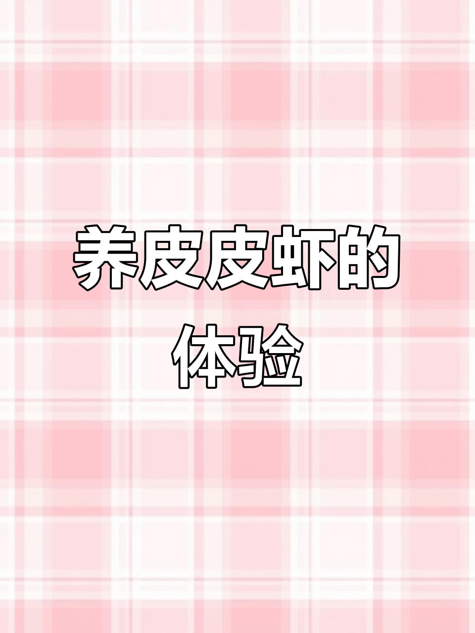 皮皮虾也能当宠物养，彩虹色的它们太美了