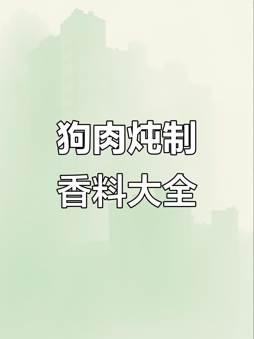 炖狗肉必备香料配方,果酸汤解腻增鲜