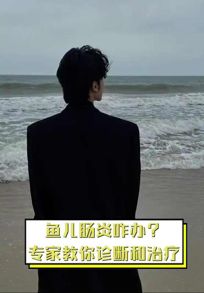 鱼儿肠炎咋办?专家教你诊断和治疗