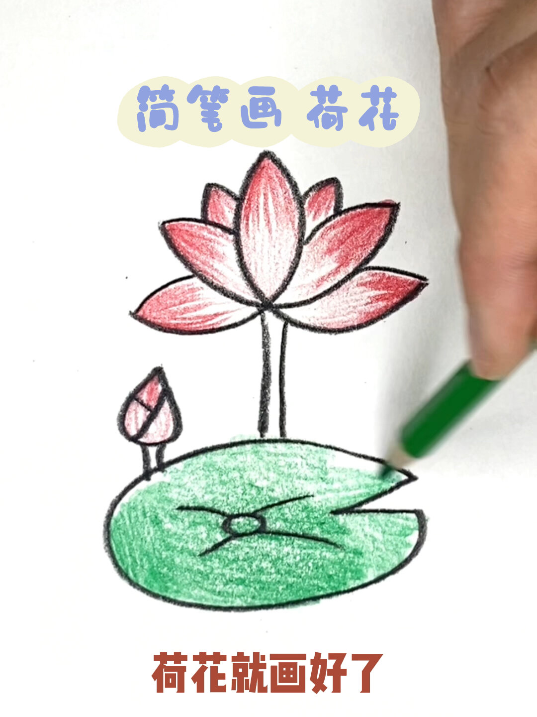 简笔画 荷花