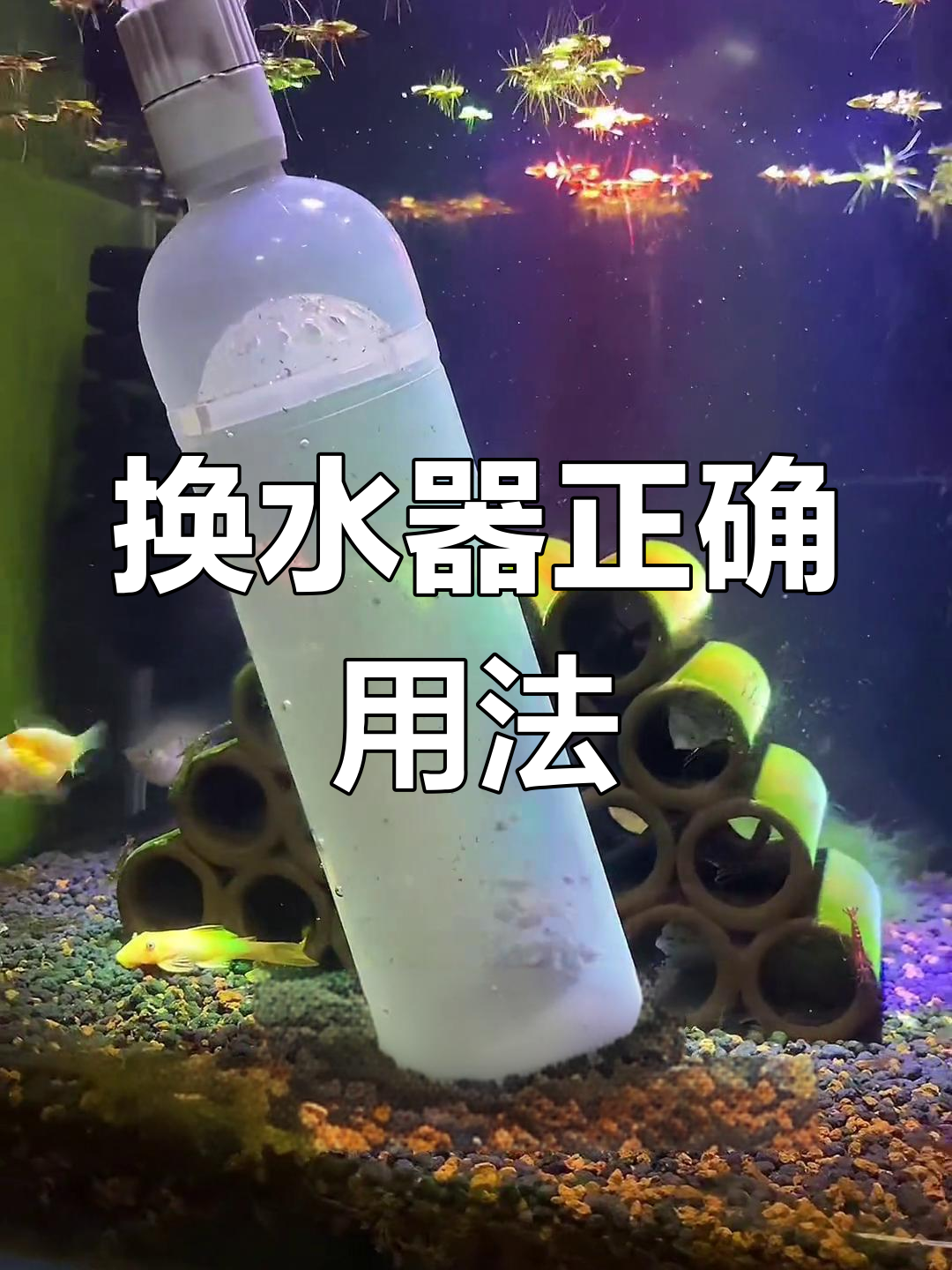 鱼缸换水器使用技巧,轻松清洁不伤鱼