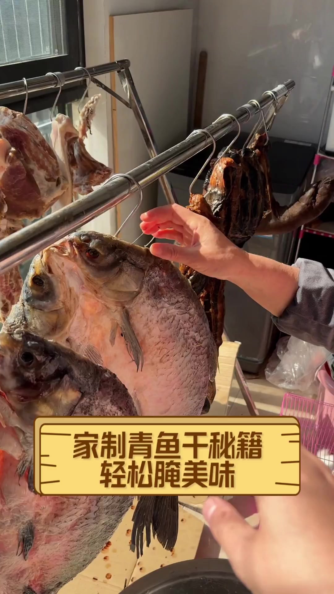 家制青鱼干秘籍,轻松腌美味