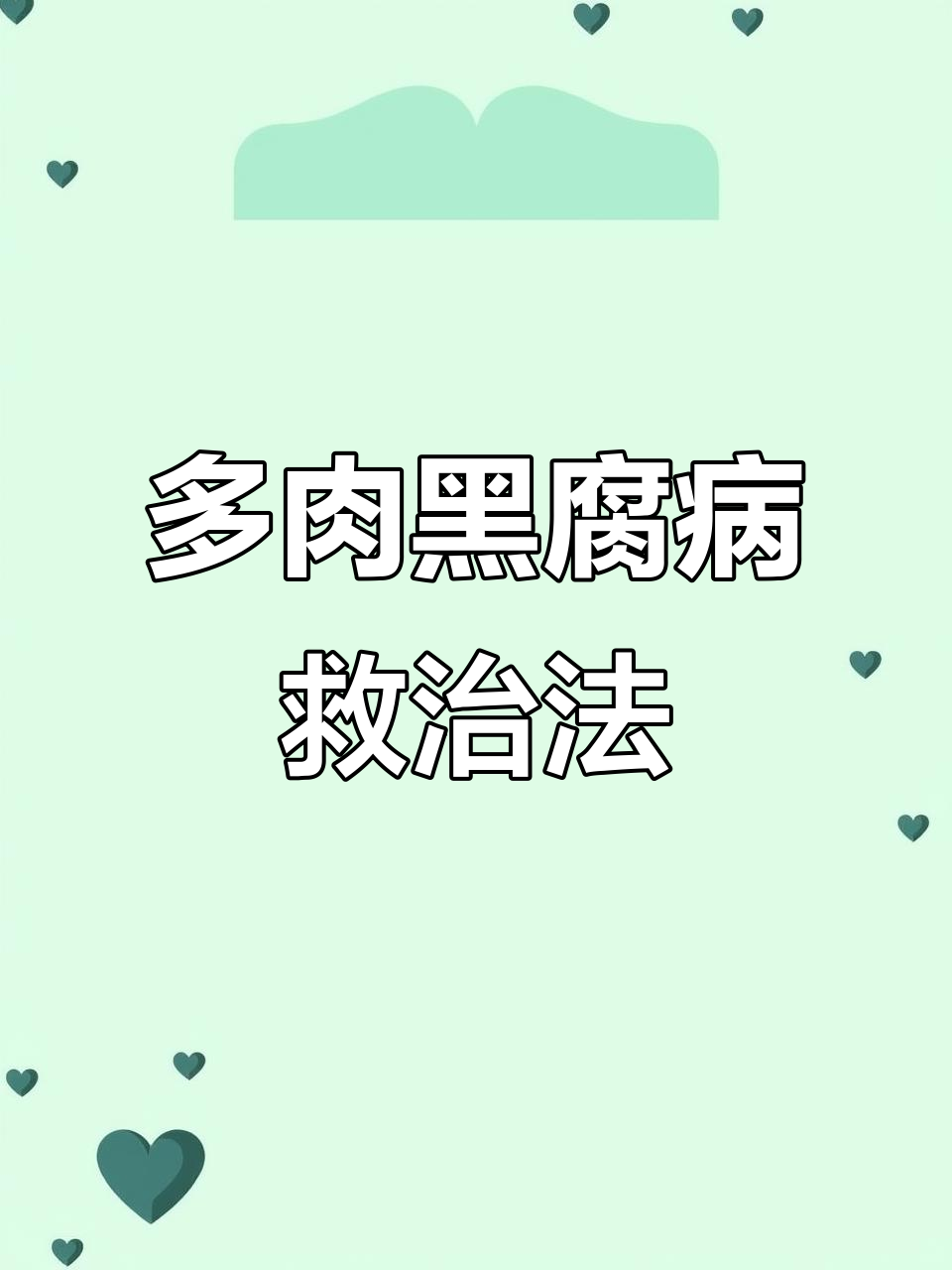 多肉植物黑腐病治疗全攻略,轻松挽救主干腐烂