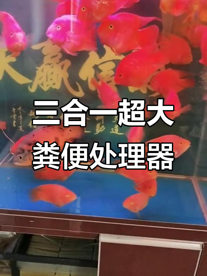 超大三合一鱼便收集器，24小时不间断清理水质无忧