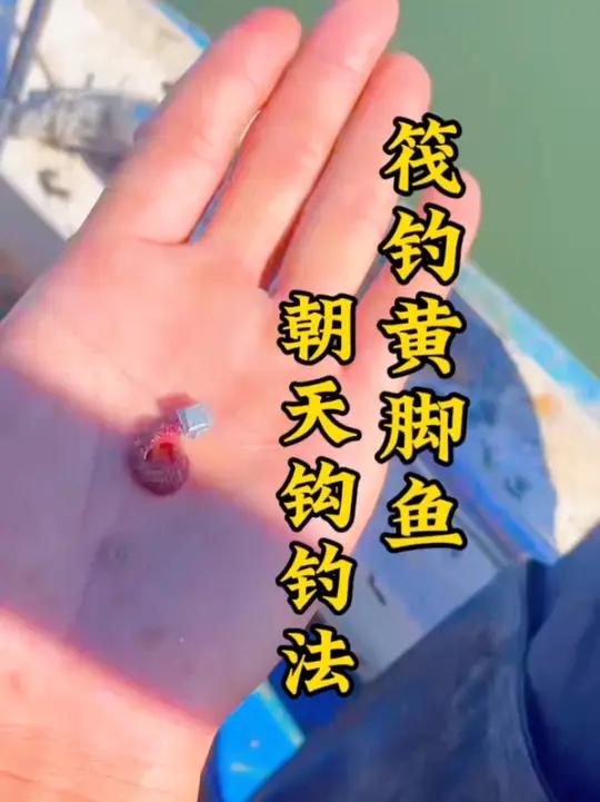 筏钓黄脚鱼,朝天钩钓法 第222期|海钓猫总夫妇「惠东海钓」筏钓黄脚鱼,朝天钩钓法